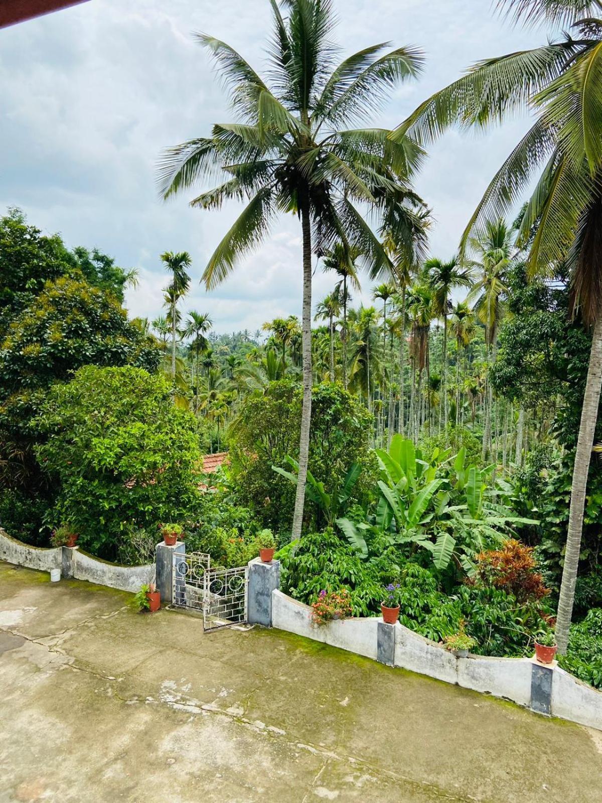 Apartamento Wayanad Palm Grove Retreat G Floor Sultan Bathery Exterior foto